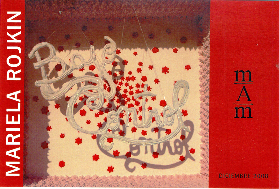 Bajo Control. Arte, identidad y memoria de Mariela Rojkin