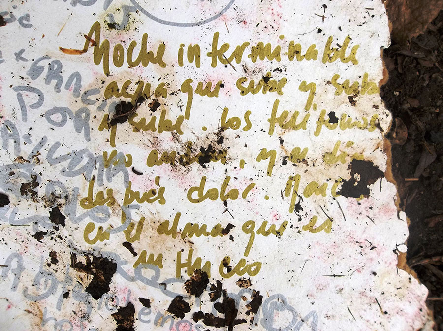  INUNDACIÓN Y DESPUÉS…