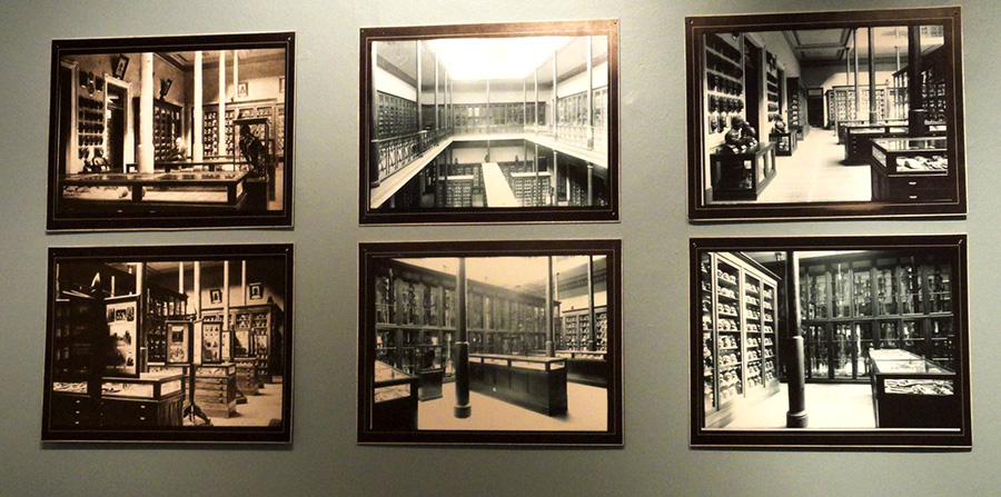 PRISIONEROS DE LA CIENCIA