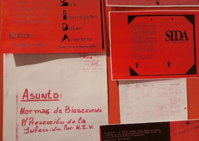 Vihsibles. 40 años de activismos, organización y resistencias.