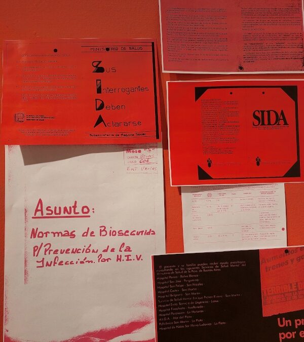 Vihsibles. 40 años de activismos, organización y resistencias.