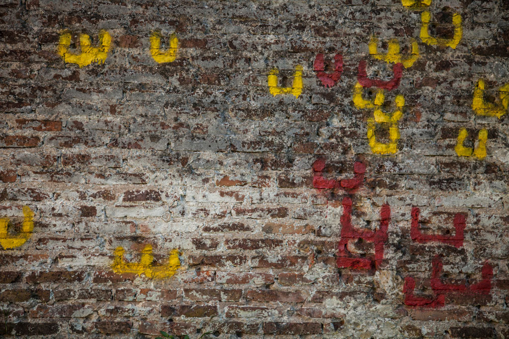 DESTACAMENTO-ARANA-2–FotoPablo-Tesoriere