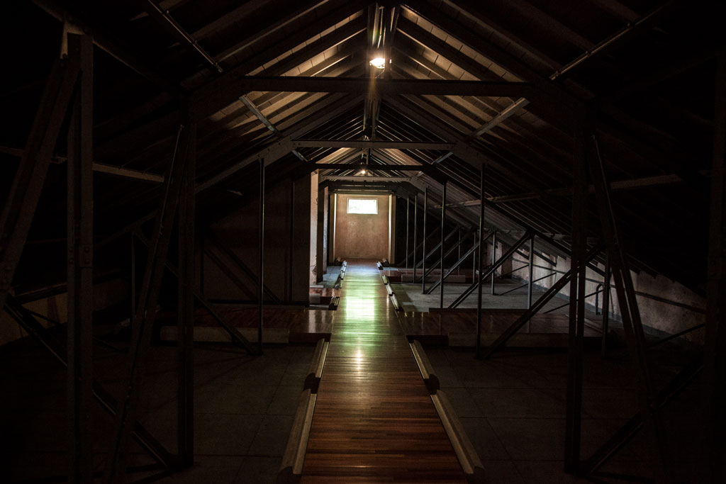 ESMA-COLOR-5–Foto-Pablo-Tesoriere