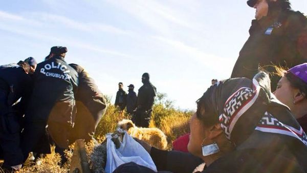 CARTA DE LA CPM AL GOBERNADOR MARIO DAS NEVES El derecho de los pueblos originarios debe prevalecer por sobre los intereses del mercado y los empresarios poderosos