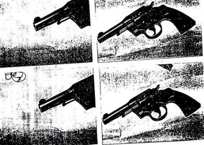 Informe | Régimen provincial de armas de fuego