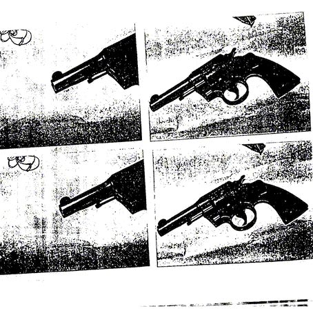 Informe | Régimen provincial de armas de fuego
