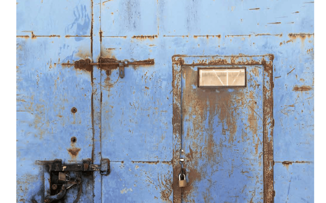 Revista | El sistema de la crueldad XII