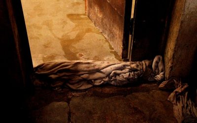 UNA POBLACIÓN CON GRAVE RIESGO DE INFECCIÓN La CPM solicitó medidas urgentes de prevención del hantavirus en lugares de encierro