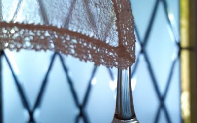 PROPUESTA CULTURAL DE LA CPM POR EL 8M Feminidades y disidencia sexual en la agenda de derechos humanos