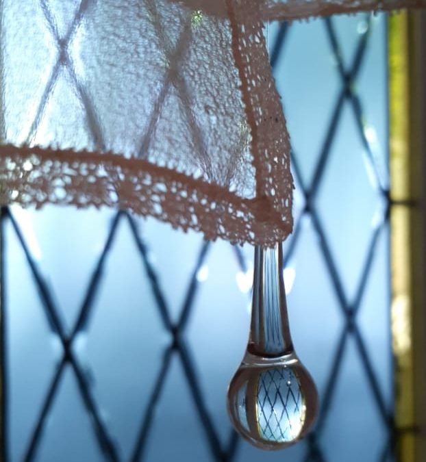 PROPUESTA CULTURAL DE LA CPM POR EL 8M Feminidades y disidencia sexual en la agenda de derechos humanos