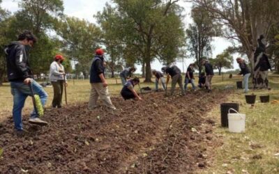 Respaldo al Proyecto Artigas tras los ataques y actos intimidatorias