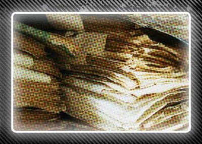 El espía y la palabra