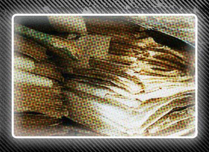 El espía y la palabra