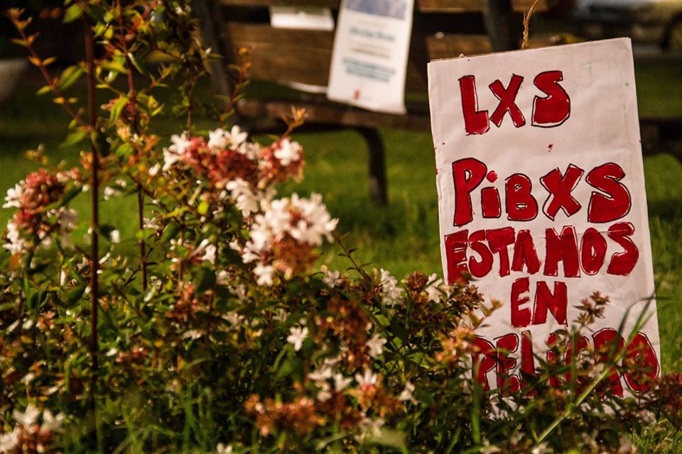 cartel "lxs pibxs estamos en peligro"