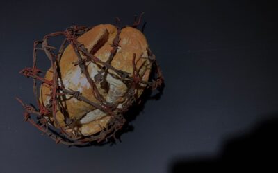 12 ARTISTAS EXPONEN EN EL MUSEO DE ARTE Y MEMORIA La CPM presenta Miseria planificada, una muestra colectiva para pensar en clave histórica un presente marcado por la desigualdad